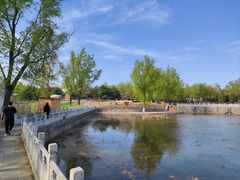 -青龙湖公园