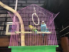 -玉桥餐厅(天坛店)