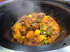 -挂雪铁锅炖大鹅