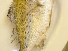 -吴记富苑(朝阳店)