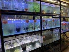 -宠物世家(仲盛世界商城店)
