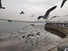 -星海广场