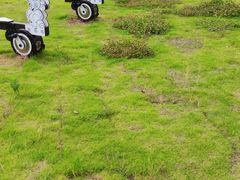 -黄陂区野村谷景区