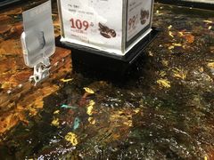 波士顿龙虾-盒马鲜生(皇庭广场店)