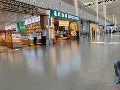 -合肥新桥国际机场-航站楼