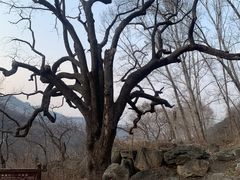 -北京密云天门山风景区
