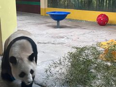 -杭州野生动物世界