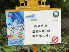 -莫里热带雨林景区