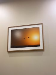 -北京米扬丽格医疗美容·联合丽格鼻整形中心