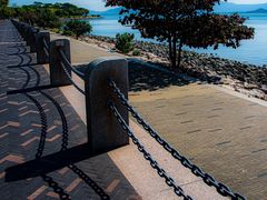 -福田红树林生态公园