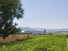 -君乐宝优致牧场