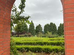 -庾园