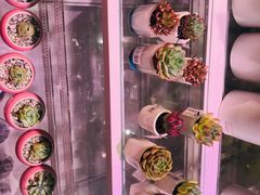 -KKV(南京新城市广场店)