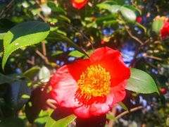 -华南国家植物园-售票处