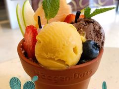 掌心花园外带冰淇淋杯-哈根达斯(国瑞店)
