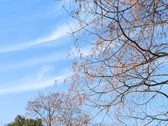 -中山公园