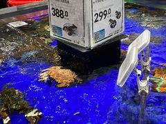 -盒马鲜生(新都心店)