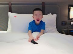 -新加坡瑞士史丹福酒店