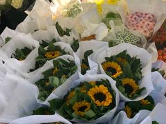 -循礼门鲜花花市(武汉循礼门店)