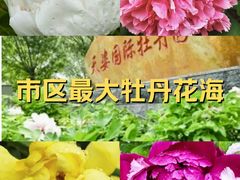 -太阳宫公园