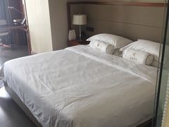 -三亚中亚国际大酒店