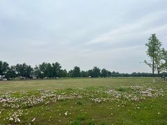 -汉长安城未央宫国家考古遗址公园