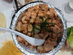 -丁老爷子苏香圆