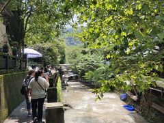 -青城山