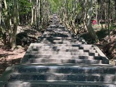 -窦圌山风景区