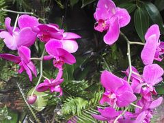 -海天牧场(银川商城店)