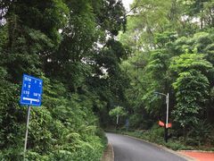 -广州市帽峰山景区