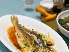 清蒸本地大黄鱼-舌尖上·霞浦滩涂海鲜·新闽菜(总店)
