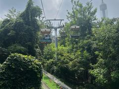 -富斯特索道