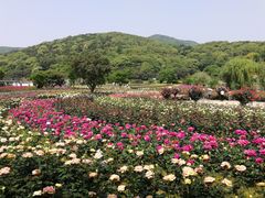 -龙寺生态园