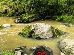 -茅兰沟国家森林公园