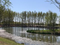 -东郊湿地公园
