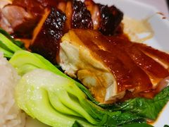 -金戈戈香港豉油鸡(皇庭广场店)