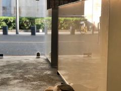 -MQ COFFEE STAND明谦(新洲店)