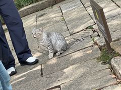 -无锡惠山寺
