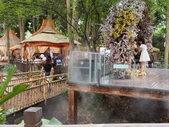 -二荆条·蜀鲜汇城市森林火锅