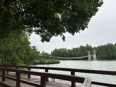 -东湖落雁景区
