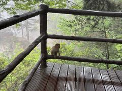 -黄石寨索道上站-售票处