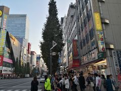 -秋叶原电器街