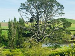 -霍比特人村