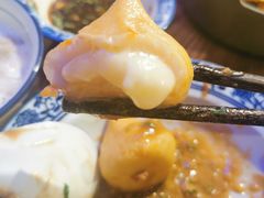芝士包心丸-十六蒲(桂林路店)