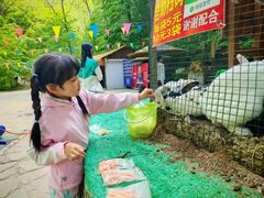 -本溪汤沟绿石谷森林公园