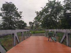 -白鹭湾湿地公园