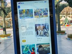 -海合安成都极地海洋公园