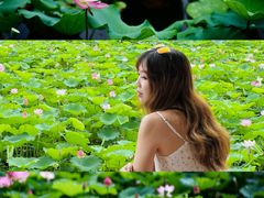 -荔湾湖公园