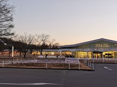 -轻井泽王子购物广场
